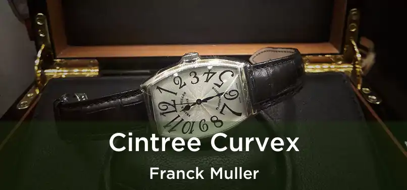  Cintree Curvex Franck Muller