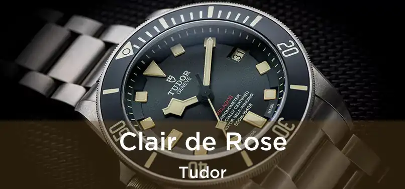  Clair de Rose Tudor