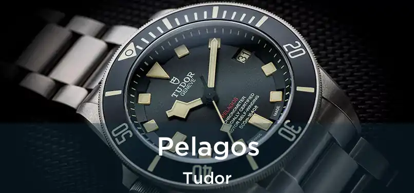  Pelagos Tudor